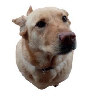 Meet your Posher, Caleb